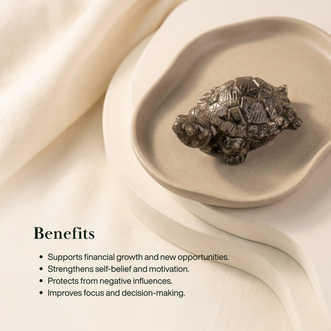 Pyrite Turtle For Vastu